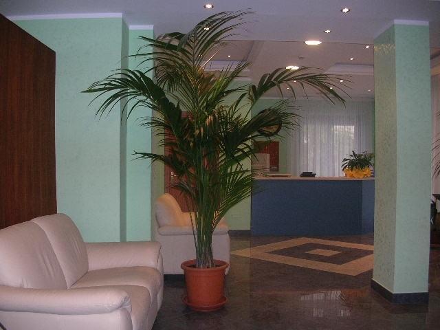 Sea Garden Hotel Acquappesa Esterno foto